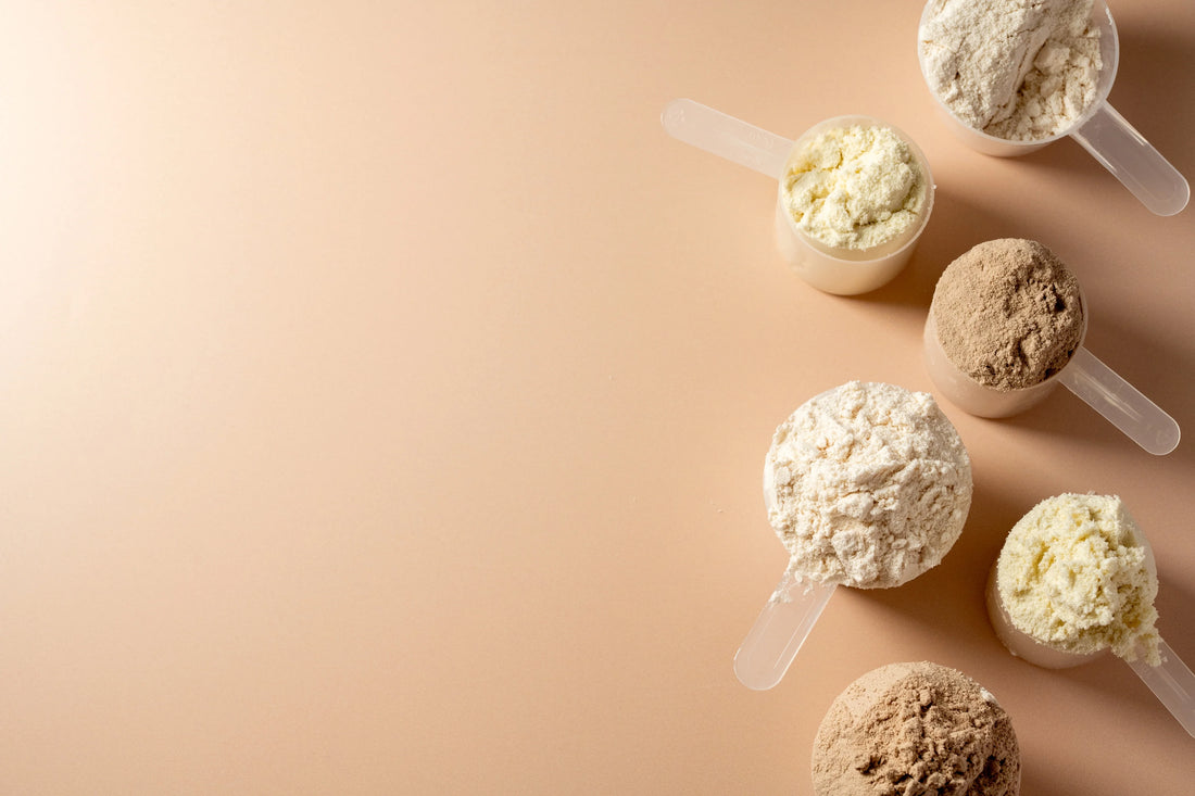 Protein Quality: Bioavailability and Absorption Rates