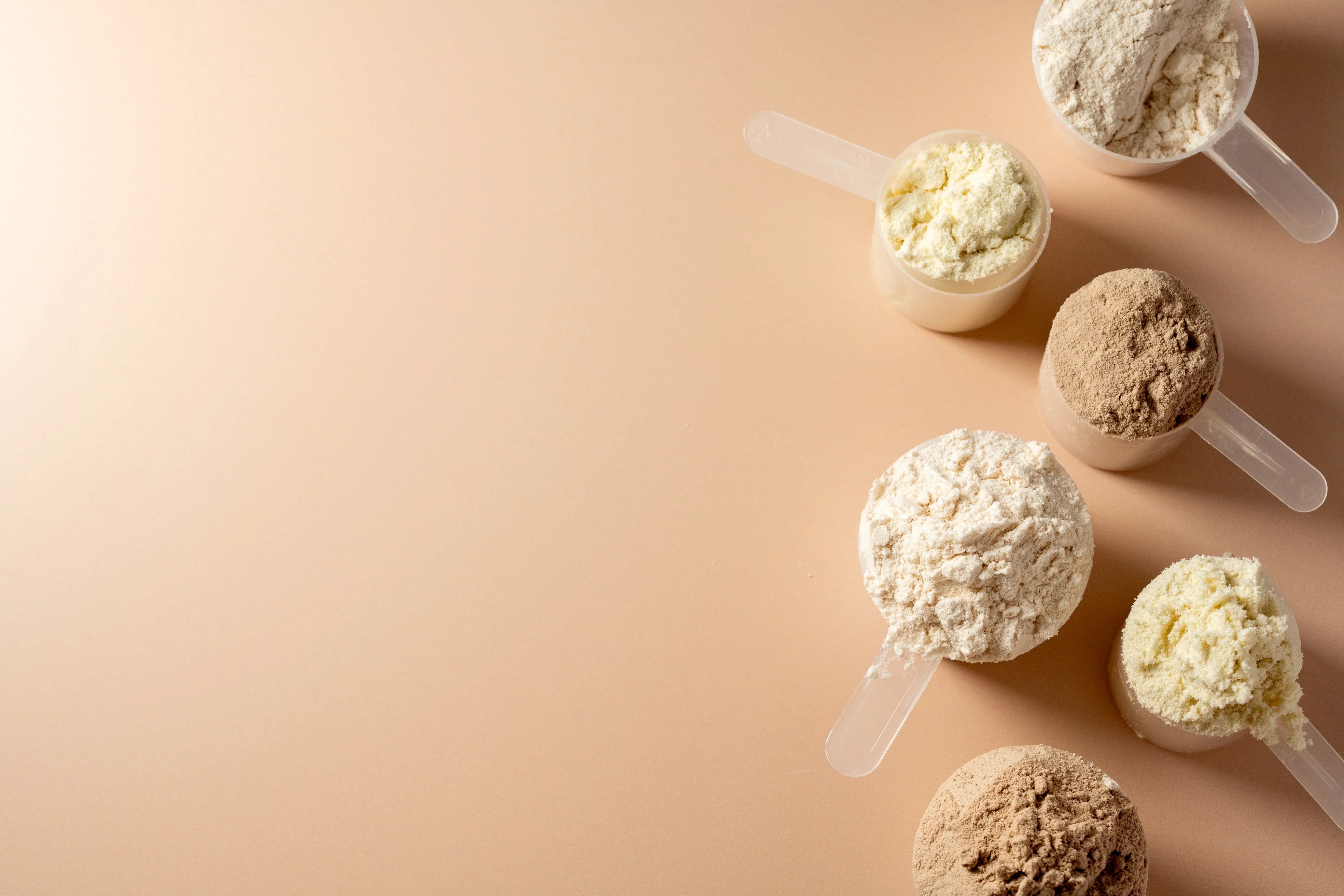 Protein Quality: Bioavailability and Absorption Rates